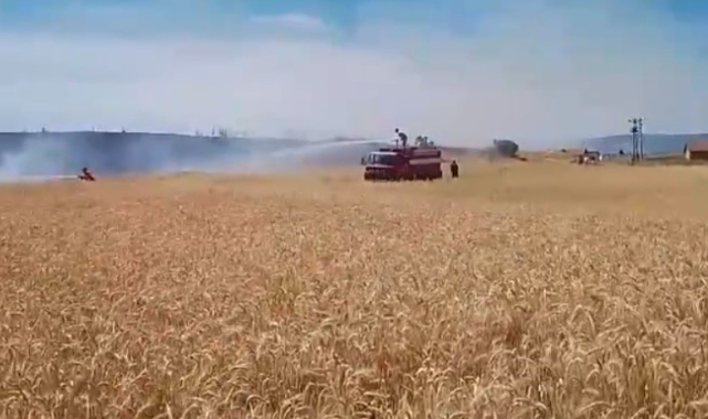 Tavşanlı'da ekili alanda çıkan yangın kısa sürede söndürüldü