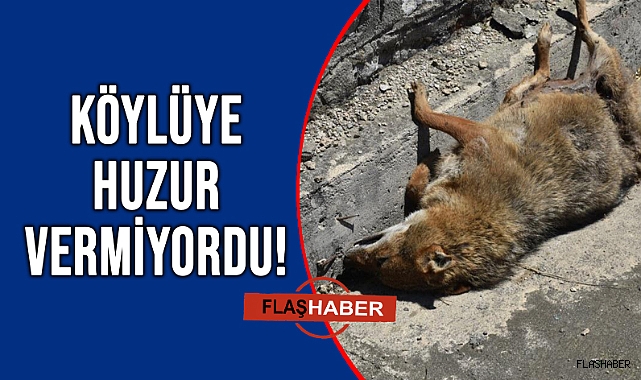 TAVUK HIRSIZININ SONU KÖTÜ BİTTİ!