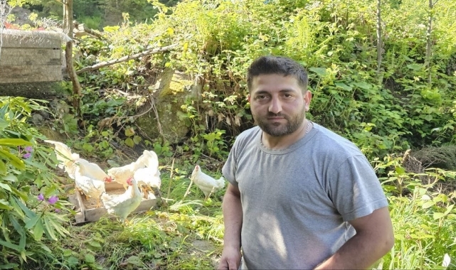 Tavuklarını ayılardan koruyabilmek için yerden 25 metre yükseklikte kümes yaptı