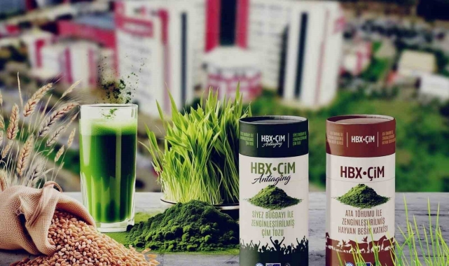 Taze buğday çiminin yaşlanmayı geciktirdiği belirtildi