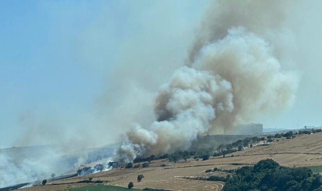 Tekirdağ'da alev alev yanan buğday tarlası küle döndü