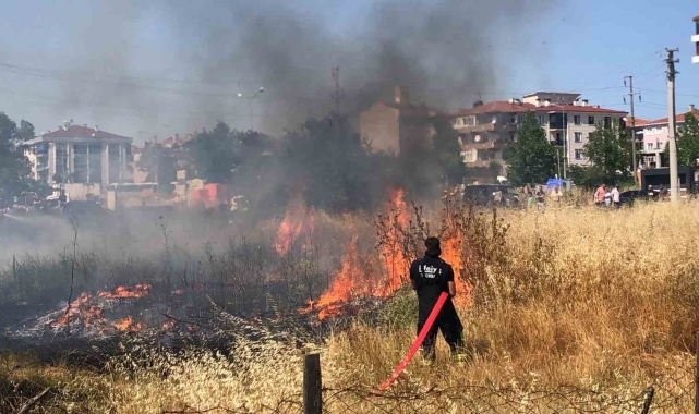 Tekirdağ'da mahalle arasındaki arazi yangını korkuttu: 50 güvercin son anda kurtarıldı