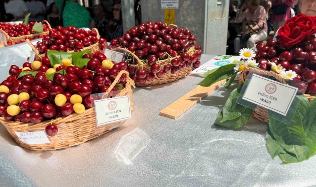 Tekirdağ'da yarım asırdır devam eden festival başladı