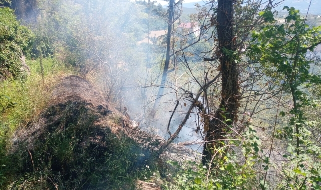 Tokat'ta otluk alanda çıkan yangın söndürüldü