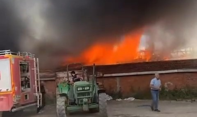 Tokat'ta ahır ve samanlık alevlere teslim oldu