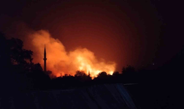 Tokat'ta yıldırım düşen ekili tarla yandı