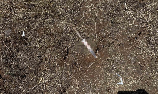 Trafikteki tartışma bıçaklı, silahlı kavgaya dönüştü: 5 yaralı