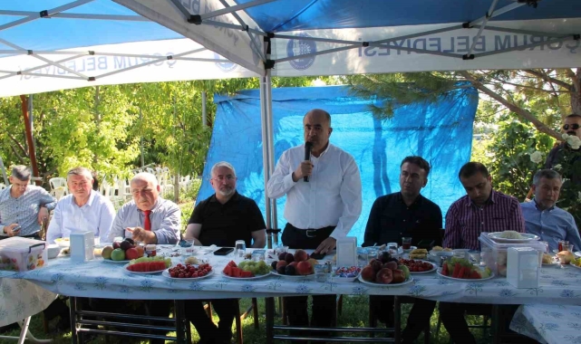 Ulu çınarları buluşturan gelenek
