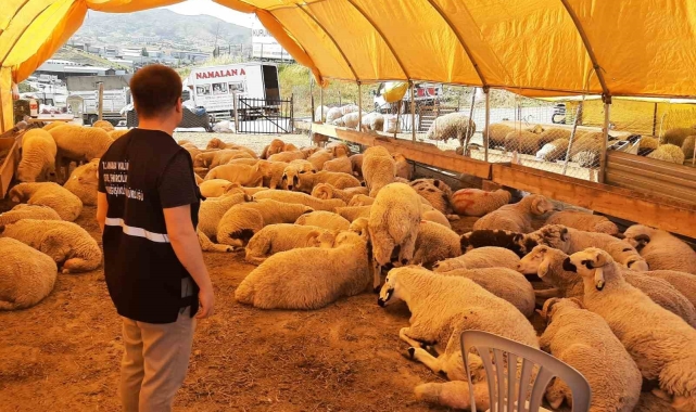 Umuma açık alanlarda kurban kesenlere ceza yağacak