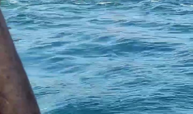 Üsküdar'da vapurdan denize düşen yolcunun kurtarılma anı kamerada