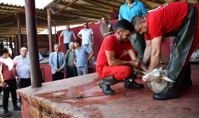 Uygulamalı kurban kesim kursu