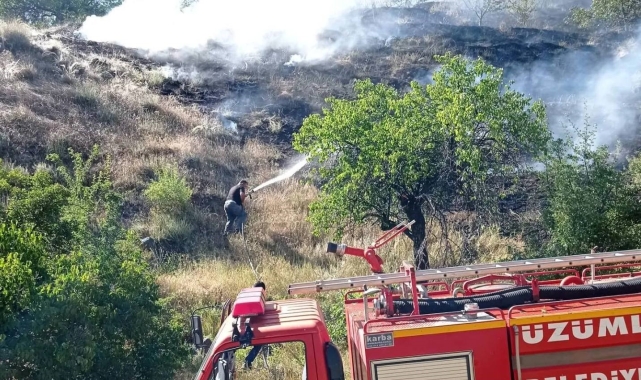 Üzümlü'de örtü yangını