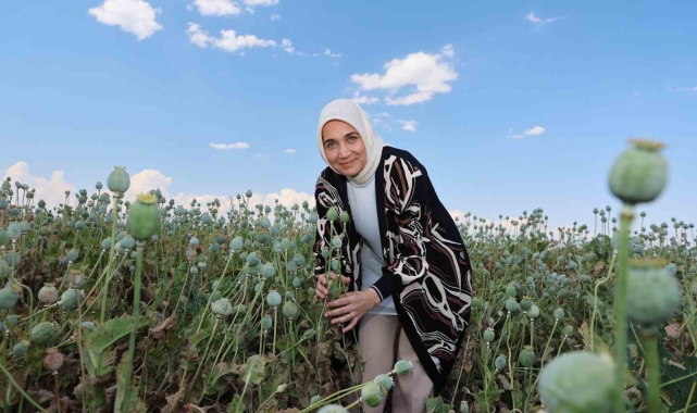 Vali kentin simgesi 'haşhaş' ile poz verdi