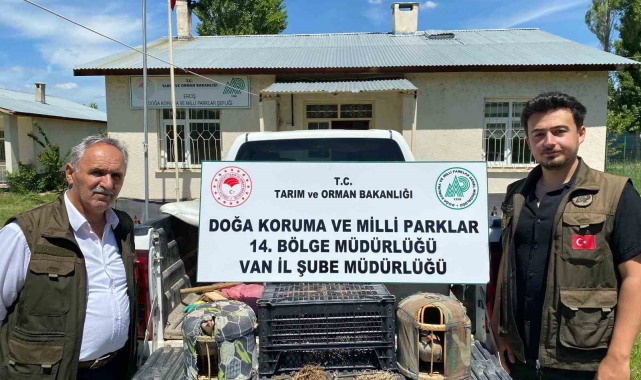 Van'da keklik avlayan 1 kişiye 18 bin 721 lira para cezası uygulanacak