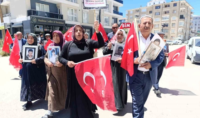 Vanlı ailelerin evlat nöbeti 81'inci haftasına girdi