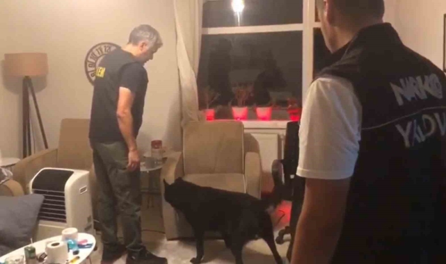 Yalova'da uyuşturucu operasyonlarında: 1 tutuklama
