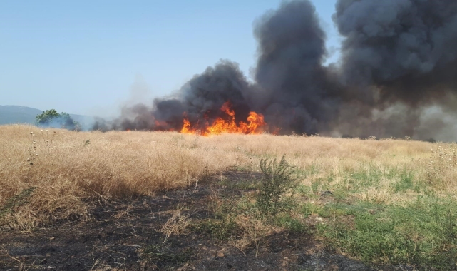 Yangınlar sonrası Manisa İtfaiyesinden 'Biçerdöver' uyarısı