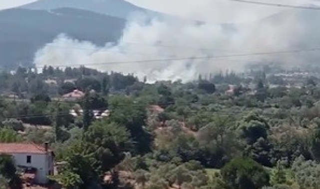 Yatağan'da sazlık alanda yangın