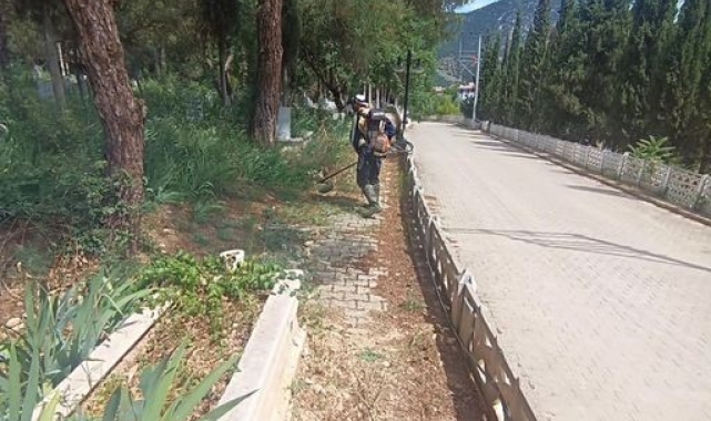 Yaz mevsiminin gelmesiyle yabani otlarla mücadele başladı
