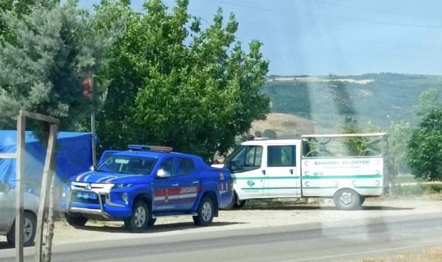 Yol kenarında erkek cesedi bulundu