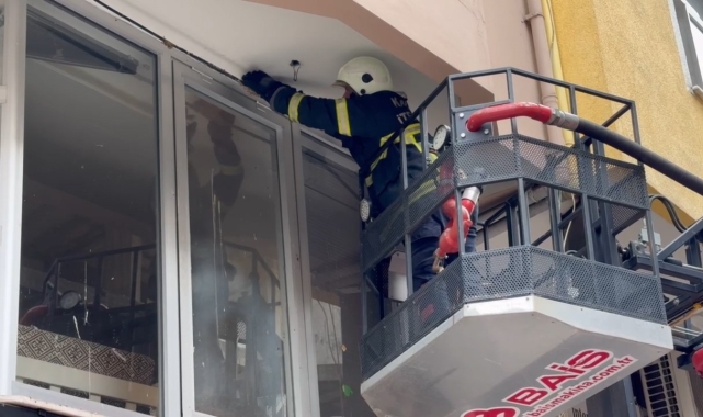Yuvadan düşen yavru kırlangıca itfaiye yardımı