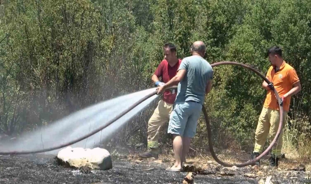 Zamanında müdahale orman yangınını önledi