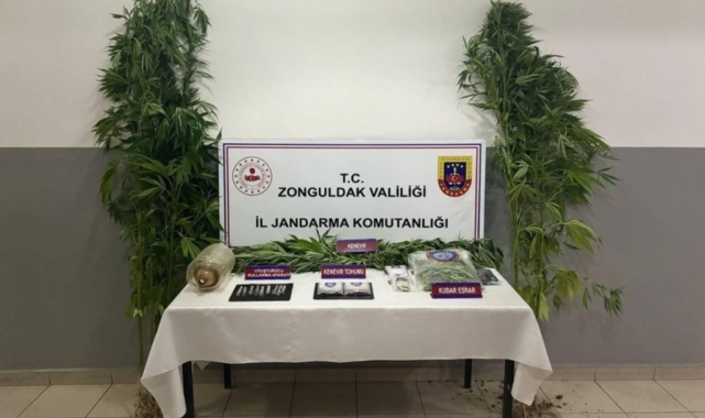 Zonguldak'ta uyuşturucu operasyonunda 1 tutuklama