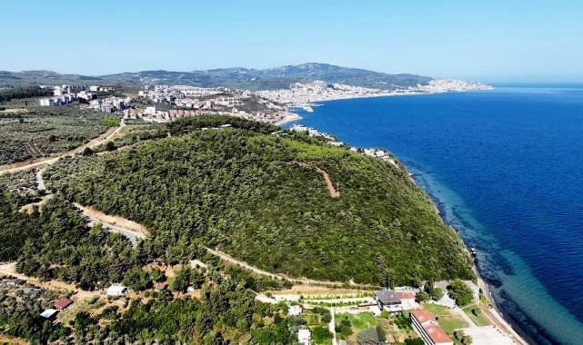 116 dönüm deniz manzaralı orman ihalesine en yüksek fiyat özel sektörden