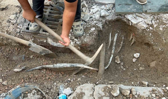 2 kişinin elektrik akımına kapılarak öldüğü İzmir'de kablolar 50 santim aşağı alınıyor