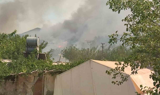 450 Dönüm alan ve bağların yanmasına neden olan şahıs yakalandı