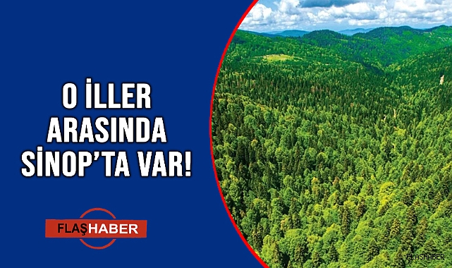 8 İLDE BAZI ALANLAR ORMAN SINIRLARININ DIŞINA ÇIKARILDI!