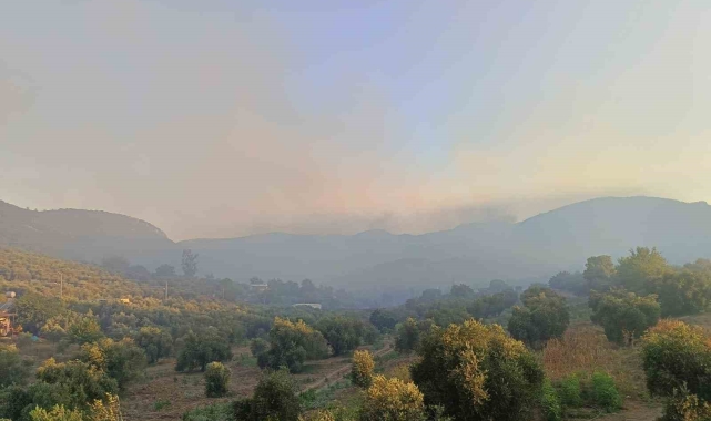 Adana Kozan'da orman yangını