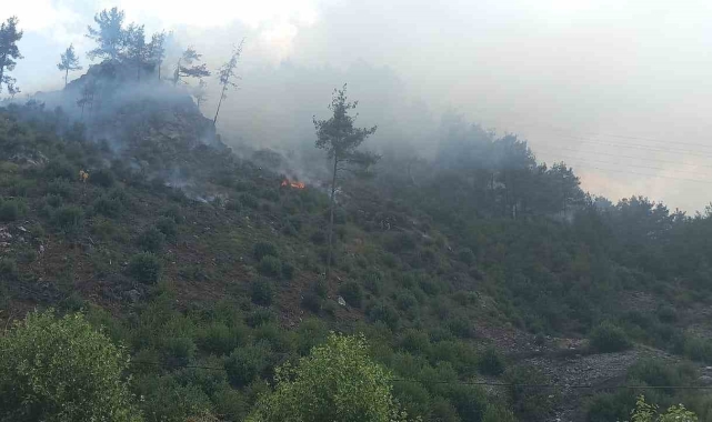 Adana'da orman yangını