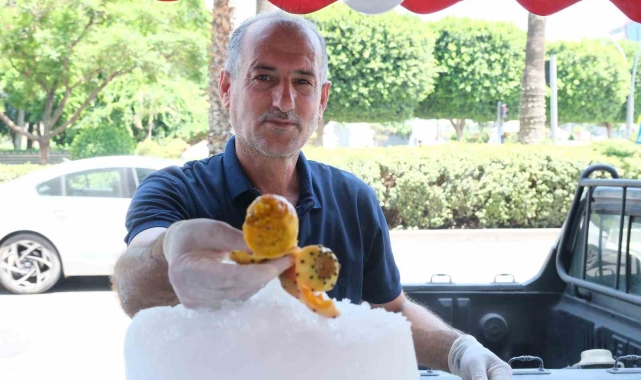 Adana'da vatandaşlar dikenli incir yiyerek serinliyor