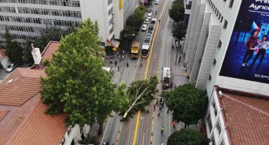Ağaç dalı yaya ve araç trafiğinin ortasına düştü, facia kıl payı atlatıldı