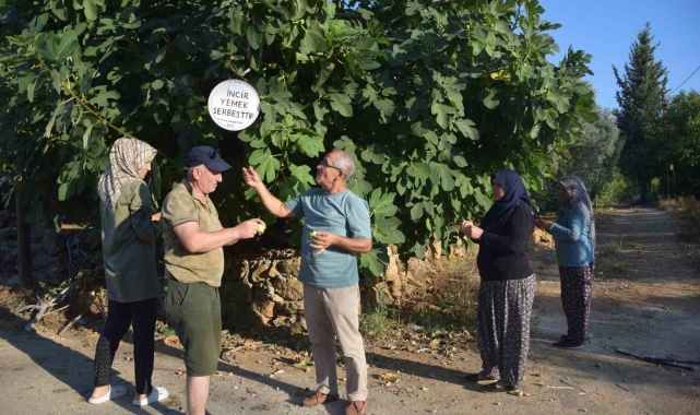 Ağaçtan incir yiyenlerden astığı yazı ile şehitlerin ruhuna Fatiha istedi