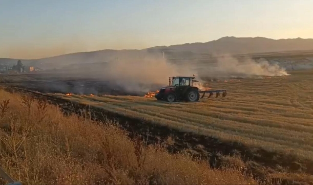 Ağrı'da 5 dönümlük tarla küle döndü