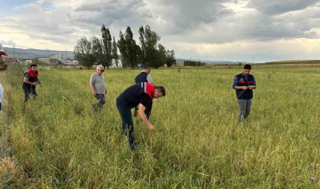 Ağrı'da etkili olan dolu tarımda zarara neden oldu