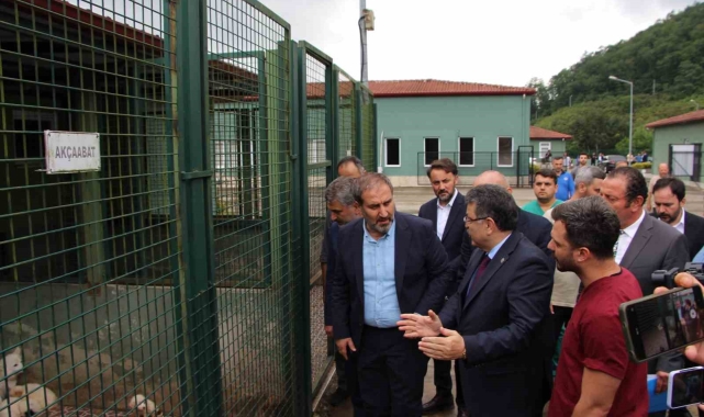 AK Parti Genel Başkan Yardımcısı Şen: "İt taparların ve it savarların aklıyla hiçbir şey yapılamaz"