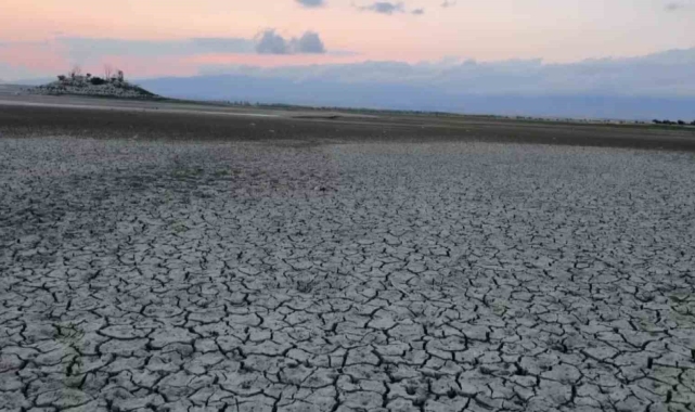 Amasya'daki Yedikır Baraj Gölü'nde kuraklıktan sular çekildi, balık ölümleri görülmeye başladı
