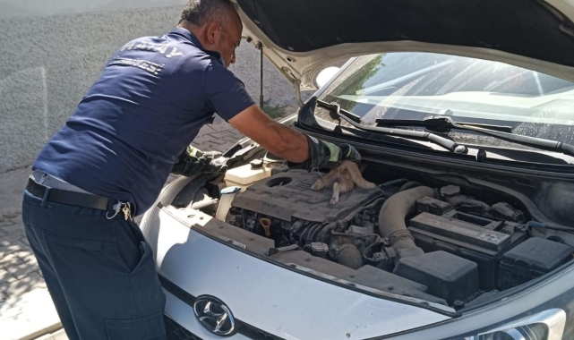 Araç motoruna sıkışan kediyi itfaiye kurtardı