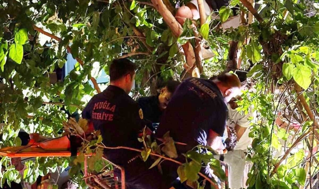Aracın çarptığı motosiklet sürücüsü 5 metrelik ağaçta asılı kaldı