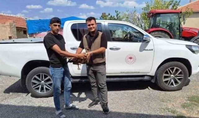 Arazide bulduğu yaralı şahini doğa koruma ekiplerine teslim etti