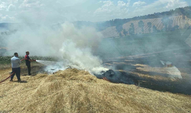 Arpa tarlası alev alev yandı