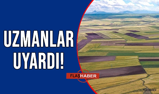 ARSA VE TARLA ALIRKEN BUNLARA DİKKAT EDİN!