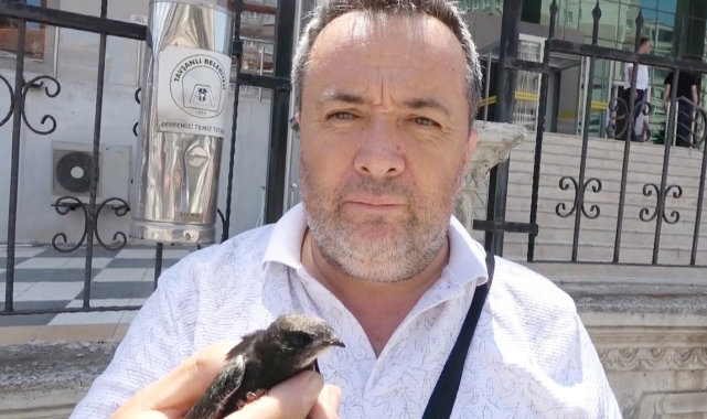 Ayağına ip takılmış ebabil kuşu Doğa ve Milli Parklar yetkililerine teslim edildi