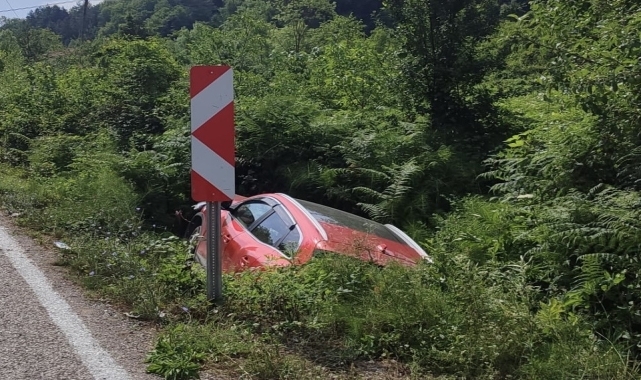 Ayancık'ta otomobilin devrildiği kazada 2 kişi yaralandı