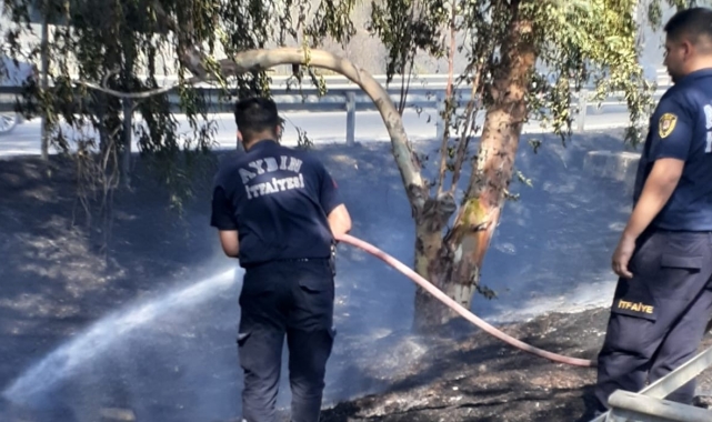 Aydın Büyükşehir Belediyesi'nin ateş savaşçıları yangından yangına koştu