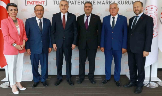 Aydın enginarı coğrafi işaret tesciline kavuşuyor