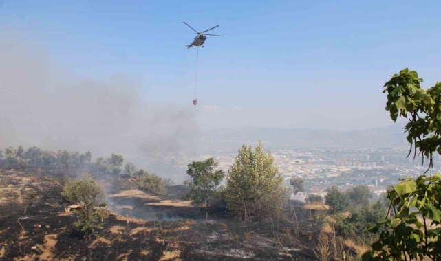 Aydın'da çıkan yangın üniversite kampüs alanına doğru ilerliyor